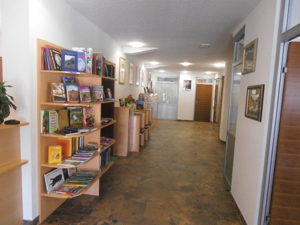 Bücherei innen - Regale